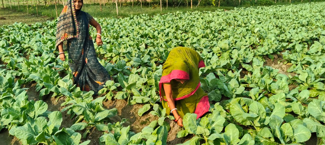 Our donation is hope for poor childrens in africa