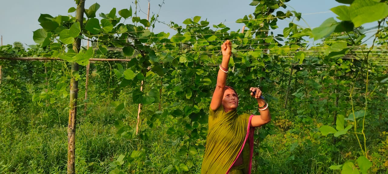 Our donation is hope for poor childrens in africa