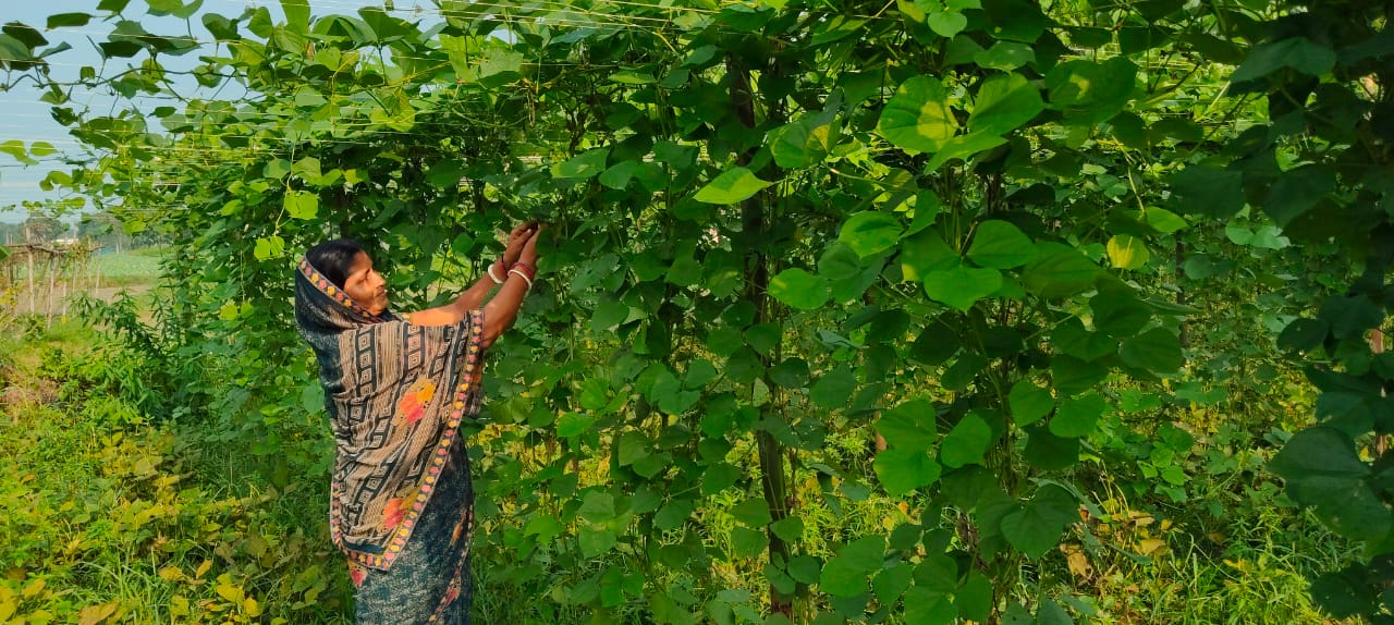 Our donation is hope for poor childrens in africa